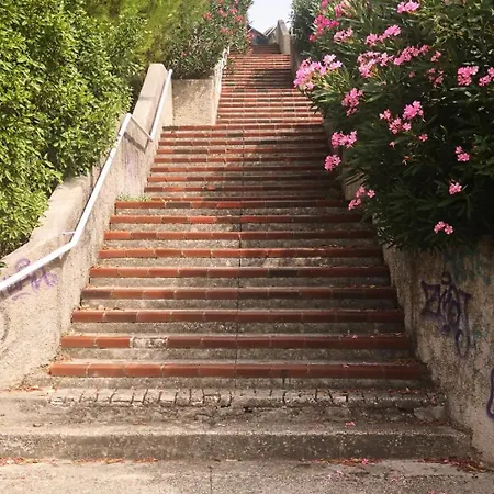 Serpa