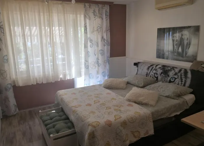 Serpa Appartement Rijeka